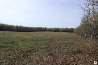 Photo 6: Pt NW-31-46 -1-W5: Rural Wetaskiwin County Vacant Lot/Land for sale : MLS®# E4335325