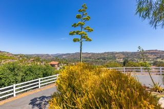 Photo 41: 31555 Cottontail Lane in Bonsall: Residential for sale (92003 - Bonsall)  : MLS®# OC19257127