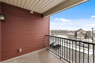 Photo 17: 301 15 Saddlestone Way NE in Calgary: Saddle Ridge Apartment for sale : MLS®# A1209636