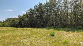 Photo 6: 325 Maple Drive: Rural Sturgeon County Rural Land/Vacant Lot for sale : MLS®# E4293485