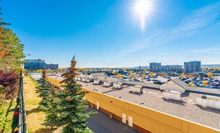 Photo 26: 218 5201 Dalhousie Drive NW in Calgary: Dalhousie Apartment for sale : MLS®# A2005870