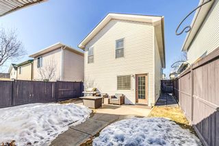 Photo 26: 161 Mt Allan Circle SE in Calgary: McKenzie Lake Detached for sale : MLS®# A2035305