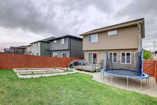 Photo 49: 101 Mount Rae Heights: Okotoks Detached for sale : MLS®# A2124153