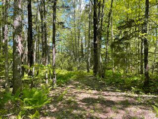 Photo 4: Lot 23 Blue Jay Road in Molega Lake: 405-Lunenburg County Vacant Land for sale (South Shore)  : MLS®# 202212462