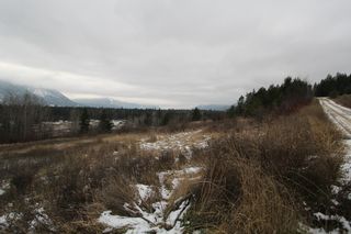Photo 2: 37 2481 Squilax Anglemont Road in Lee Creek: North Shuswap Land Only for sale (Shuswap) 