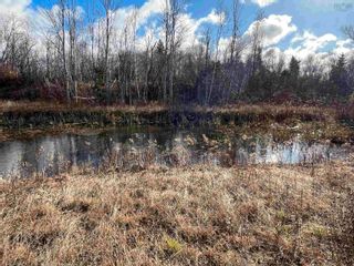 Photo 21: 2300 Big Island Road in Lower Barneys River: 108-Rural Pictou County Residential for sale (Northern Region)  : MLS®# 202325301