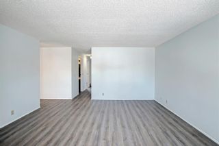 Photo 6: 4531 43 Street NE in Calgary: Whitehorn Detached for sale : MLS®# A1209196