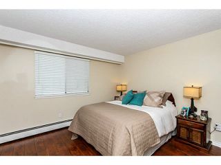 Photo 12: 304 47 AGNES Street in New Westminster: Downtown NW Condo for sale in "FRASER HOUSE" : MLS®# V1115941