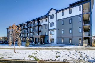 Photo 4: 414 10 Sage Hill Walk NW in Calgary: Sage Hill Apartment for sale : MLS®# A2032289