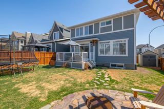 Photo 43: 93 Masters Way SE in Calgary: Mahogany Detached for sale : MLS®# A2017120
