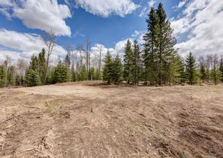 Photo 12: TWP 290 / Winchell Lake Rd: Rural Mountain View County Residential Land for sale : MLS®# A1217315