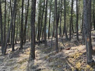 Photo 8: 2520 COBBLESTONE CIRCLE in Invermere: Vacant Land for sale : MLS®# 2470197