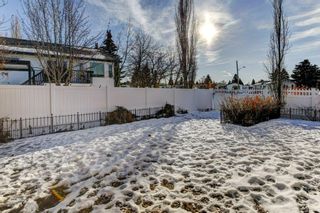 Photo 31: 131 Sunridge Crescent NW: Airdrie Detached for sale : MLS®# A2023787