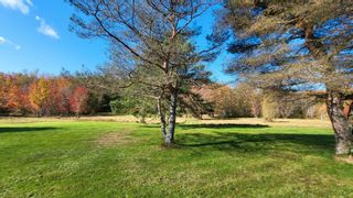 Photo 7: Acreage Aldershot Road in North Kentville: Kings County Vacant Land for sale (Annapolis Valley)  : MLS®# 202412443