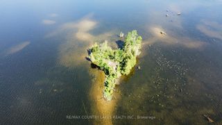 Photo 5: Lt 1 Island in Kawartha Lakes: Rural Carden Property for sale : MLS®# X6745966