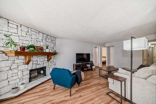 Photo 11: 201 1625 14 Avenue SW in Calgary: Sunalta Apartment for sale : MLS®# A2130864