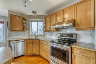 Photo 7: 176 Creek Gardens Close NW: Airdrie Detached for sale : MLS®# A1048124