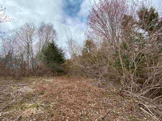 Photo 17: Sherbrooke Road in Greenvale: 108-Rural Pictou County Vacant Land for sale (Northern Region)  : MLS®# 202111683