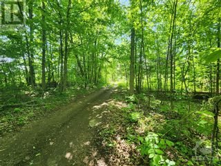 Photo 17: Lot 4-5 Con 3 MCLELLAN ROAD in Gillies Corners: Vacant Land for sale : MLS®# 1343884