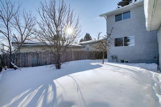 Photo 48: 28 Forest Green SE in Calgary: Forest Heights Detached for sale : MLS®# A1065576