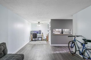 Photo 10: 203 20 Dover Point SE in Calgary: Dover Apartment for sale : MLS®# A1152591