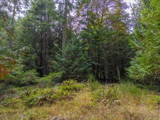 Photo 5: Lot D Conery Cres in Pender Island: GI Pender Island Land for sale (Gulf Islands)  : MLS®# 945164