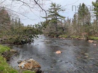Photo 5: Lot WA - 2 Moser River North Road in Moser River: 35-Halifax County East Vacant Land for sale (Halifax-Dartmouth)  : MLS®# 202309842