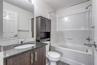 Photo 13: 3317 99 Copperstone Park SE in Calgary: Copperfield Apartment for sale : MLS®# A1230157