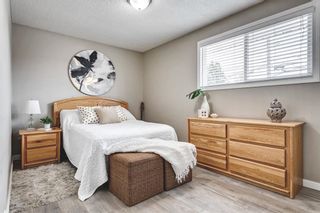 Photo 16: 307 72 Avenue NE in Calgary: Huntington Hills Detached for sale : MLS®# A2059861