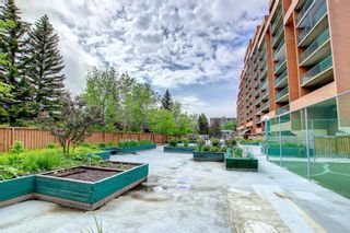 Photo 43: 608 5204 Dalton Drive NW in Calgary: Dalhousie Apartment for sale : MLS®# A1232604