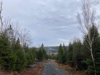 Photo 10: Lot 52 Riverside Drive in Goldenville: 303-Guysborough County Vacant Land for sale (Highland Region)  : MLS®# 202129137