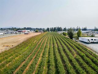 Photo 11: 1963 TOWNLINE Road in Abbotsford: Poplar Agri-Business for sale : MLS®# C8058456