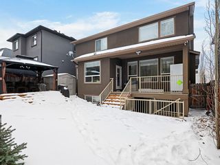 Photo 43: 52 Rockyvale Green NW in Calgary: Rocky Ridge Detached for sale : MLS®# A2016499