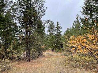 Photo 4: 490 WAPITI Way, in Osoyoos: Vacant Land for sale : MLS®# 191574