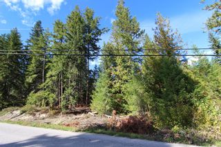 Photo 8: Lot 43 Centennial Drive in Blind Bay: Land Only for sale : MLS®# 10241144