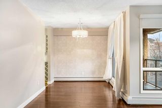 Photo 11: 303 917 18 Avenue SW in Calgary: Lower Mount Royal Apartment for sale : MLS®# A2092514