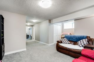 Photo 21: 1210 Kings Heights Way SE: Airdrie Semi Detached for sale : MLS®# A1204187