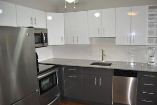 Photo 5: 121 1717 60 Street SE in Calgary: Red Carpet Apartment for sale : MLS®# A2026467