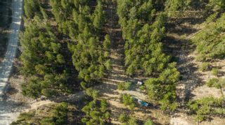 Photo 4: LOT B Trepanier Road, in Peachland: Vacant Land for sale : MLS®# 10272927