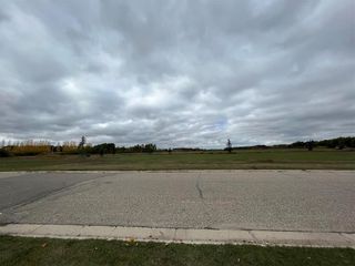 Photo 2: 509 Lakeshore Drive in Killarney: Vacant Land for sale : MLS®# 202326478