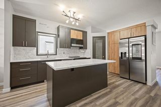 Photo 6: 693 Scurfield Boulevard in Winnipeg: Whyte Ridge Residential for sale (1P)  : MLS®# 202405469