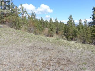 Photo 25: 8900 GILMAN Road in Summerland: Vacant Land for sale : MLS®# 198236