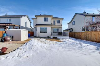 Photo 47: 260 SPRINGMERE Way: Chestermere Detached for sale : MLS®# A1073459