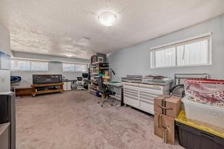 Photo 33: 2711 46 Street SE in Calgary: Dover Semi Detached (Half Duplex) for sale : MLS®# A2123114