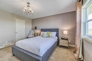 Photo 28: 206 Autumn Circle SE in Calgary: Auburn Bay Detached for sale : MLS®# A1222798