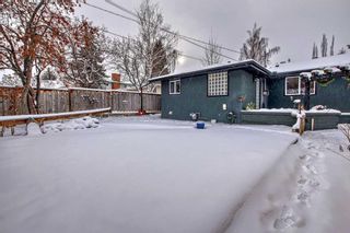 Photo 40: 4508 Dalhart Road NW in Calgary: Dalhousie Detached for sale : MLS®# A2101730