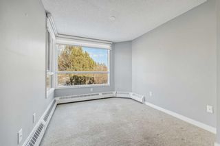 Photo 17: 203 2425 90 Avenue SW in Calgary: Palliser Apartment for sale : MLS®# A2126388