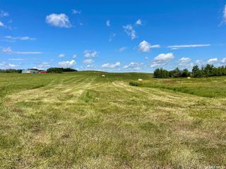 Photo 41: Prairie Meadow Lane Acreage in Colonsay: Residential for sale (Colonsay Rm No. 342)  : MLS®# SK914748