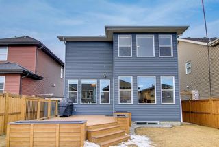 Photo 43: 32 Evansglen Drive NW in Calgary: Evanston Detached for sale : MLS®# A1178289