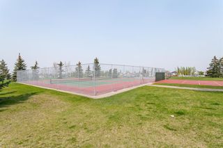 Photo 41: 129 Macewan Park Close NW in Calgary: MacEwan Glen Detached for sale : MLS®# A2049231